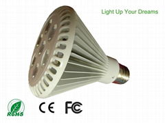 9w Par30 led spotlight