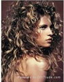 fashion human hair wigs 2