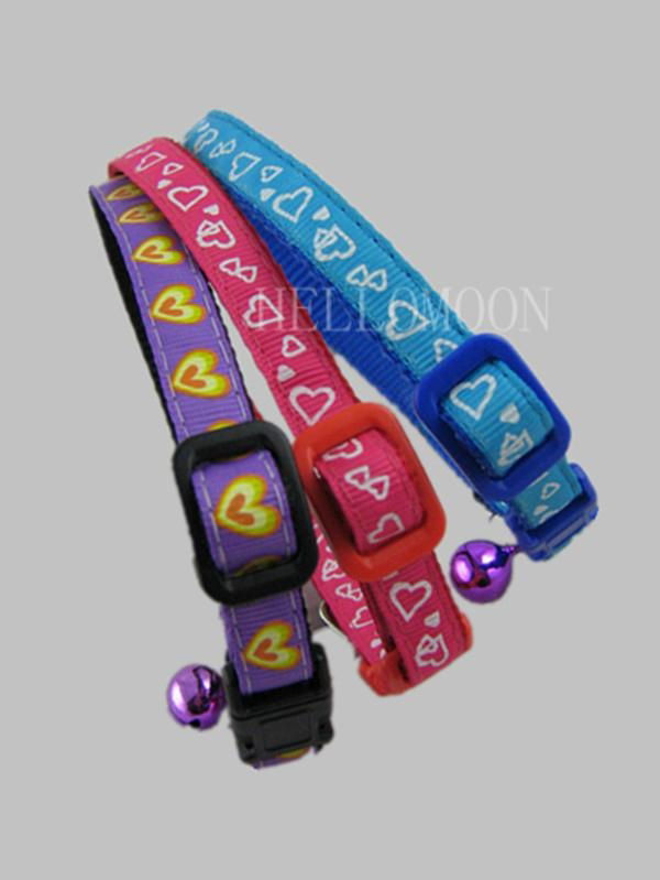 pet collar 4