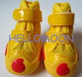 dog footwear（wheel shoes） 5