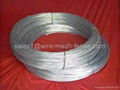 galvanized wire