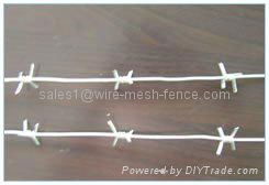 Barbed wire 4