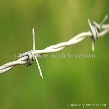 Barbed wire 5