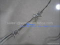 galvanized barbed wire 1