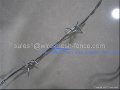 galvanized barbed wire