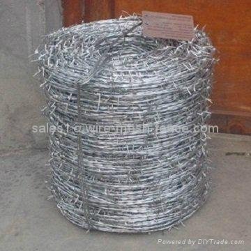 galvanized barbed wire 3