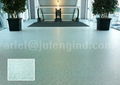 Vinyl Sheet (Roll Vinyl Flooring)