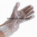 Disposable PE Gloves 1