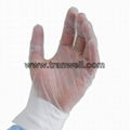 Disposable Vinyl Gloves 1