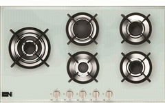 Gas Stove