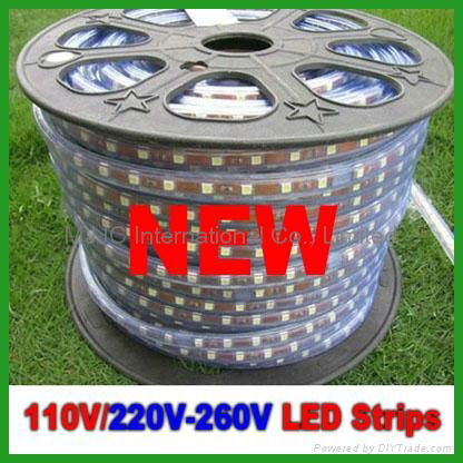 NEW 220V SMD3528 LED Strip Light