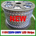 NEW 220V SMD3528 LED Strip Light 1