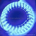 NEW 220V SMD3528 LED Strip Light 3