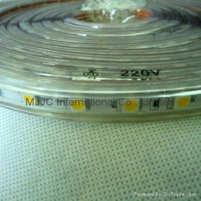 NEW 220V SMD3528 LED Strip Light 5