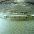 NEW 220V SMD3528 LED Strip Light 5