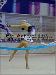 gymnastic dress