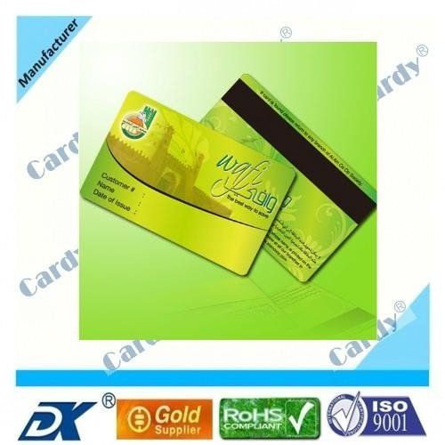 Smart Card for magnetic stripe card