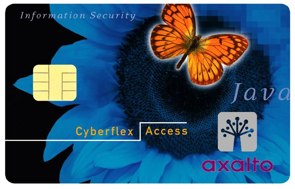 Sle5542/5528 Contact IC Card/Smart Card 5
