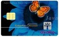 Sle5542/5528 Contact IC Card/Smart Card 5