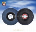 Zirconia oxide flap discs