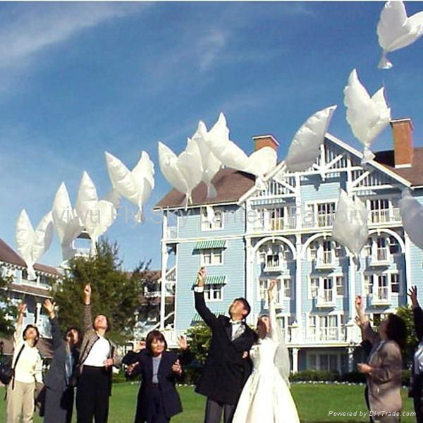 Yiwu Wedding biodegradable white Dove Helium Balloons for decoration 5