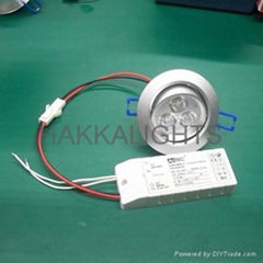 LED Downlight Golden