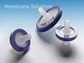 MS® PTFE Syringe Filter  1