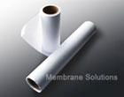 Blotting Membrane