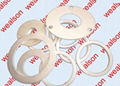 PTFE Gaskets 1