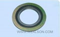 Spiral Wounded Gaskets 1