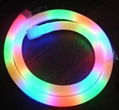 LED Neon  2