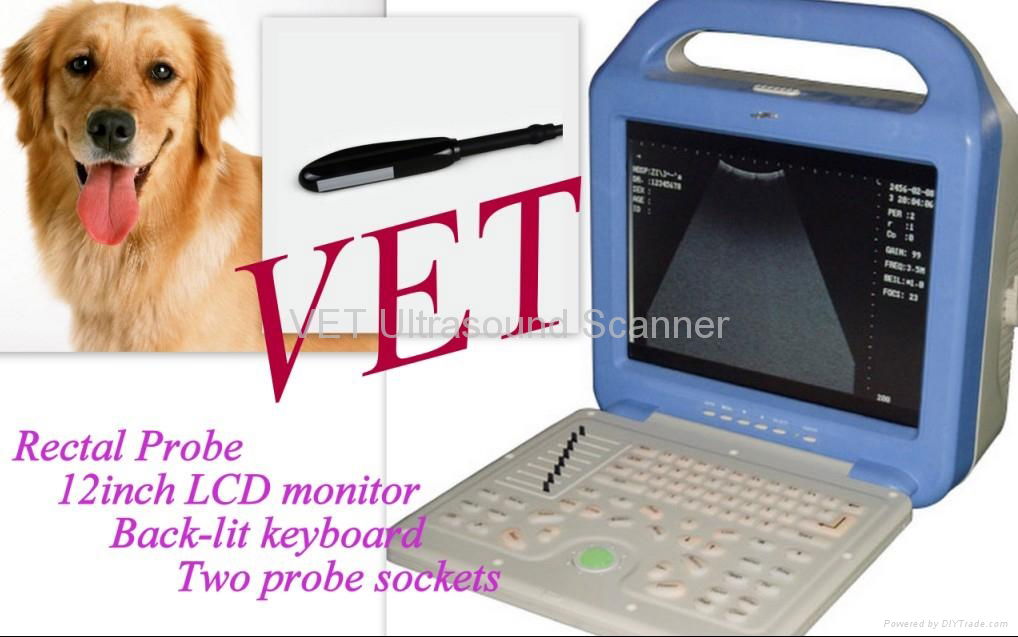 VET Laptop Ultrasound Scanner for Animal use/Medical Equipment 2