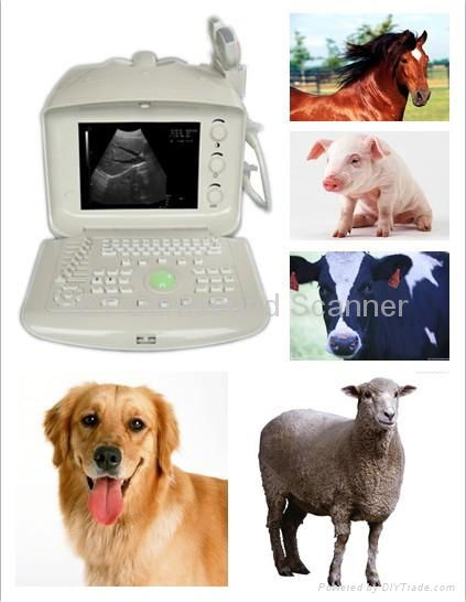 Animal------Digital VET Portable Ultrasound Scanner 2