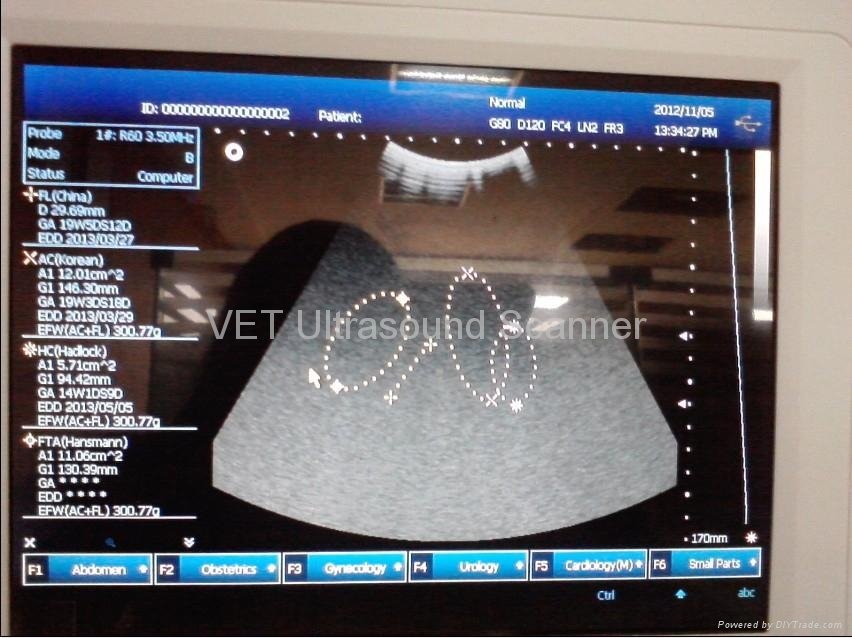 Animal 3D laptop Ultrasound Scanner with good image 3