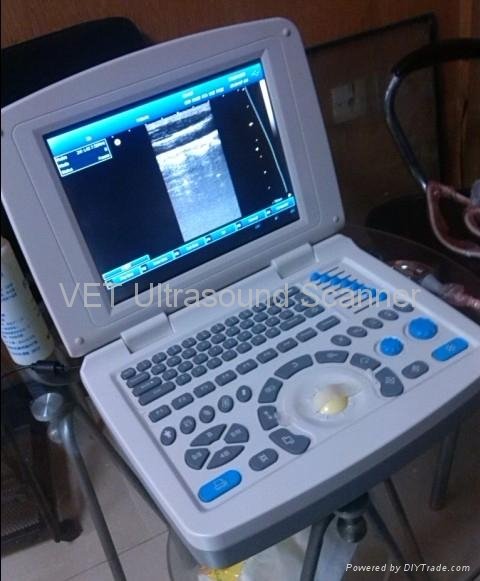Animal 3D laptop Ultrasound Scanner with good image 4