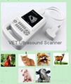 Animal/VET Palm Ultrasound Scanner with