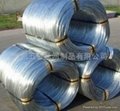 hot dipped galvanized iron wire 1