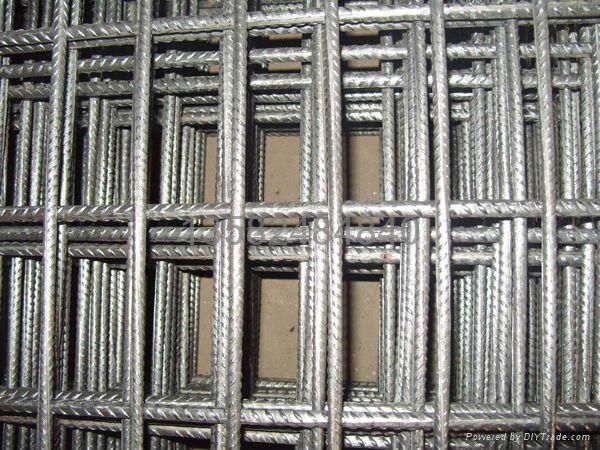 Welded Wire Mesh 2