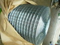 Welded Wire Mesh 5