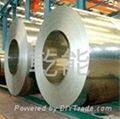 galvanized steel coil 1