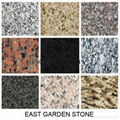 Various Color Granite Tile