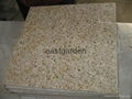 Various Color Granite Tile  2