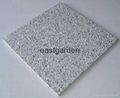 Various Color Granite Tile  4