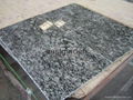 Various Color Granite Tile  5