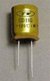 Small Scale Aluminum Electrolytic Capacitor  1