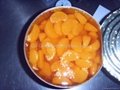 A10 Canned Mandarin Orange 2