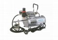 Dual Action 1/5HP Airbrush Compressor