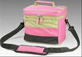 Picnic Cooler Bags  1