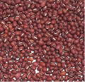 Azuki Beans