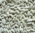 White Kidney Beans Long Shape